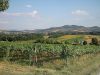 Todi, die Stadt auf dem Berg, da wollen wir hin