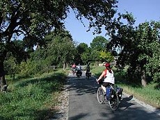 Ein Oberegger unterwegs auf dem Saale-Radweg