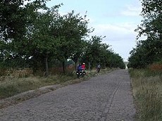 Ein Oberegger unterwegs auf dem Saale-Radweg
